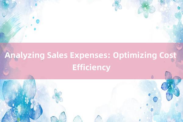 Analyzing Sales Expenses: Optimizing Cost Efficiency